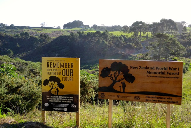  Signs tell of the planting of 18,166 trees at the World War I Memorial Forest on New Zealand's Coromandel Peninsula