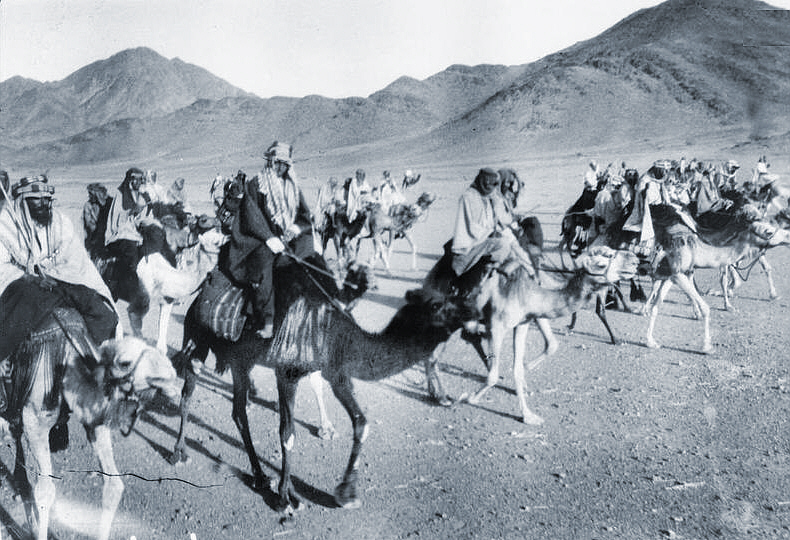 Arab troops of the Arab Revolt.